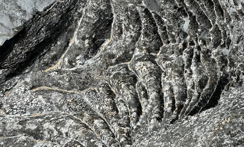 What type of rock is limestone? Understand in detail | MPG Stone